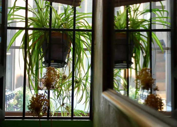 Backpacker Al-katre * קורדובה