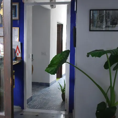 Backpacker Al-katre *