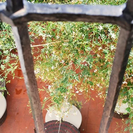 Backpacker Al-katre Bed & Breakfast