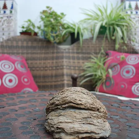Bed & Breakfast Backpacker Al-katre *