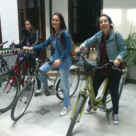 Backpacker Al-katre Panzió *