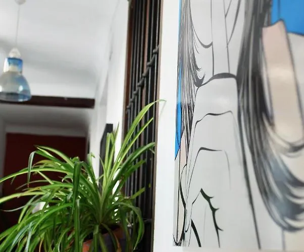 B&B 백패커 알 카트레