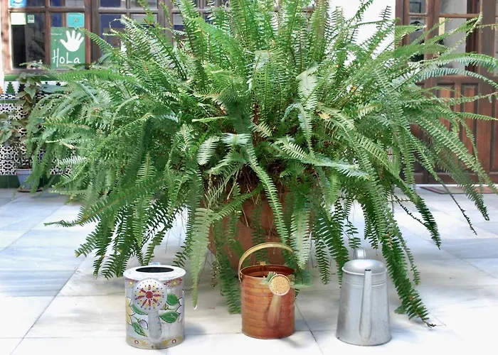 B&B 백패커 알 카트레 *