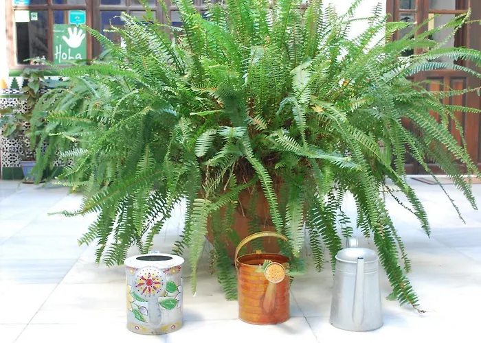 B&B 백패커 알 카트레 *