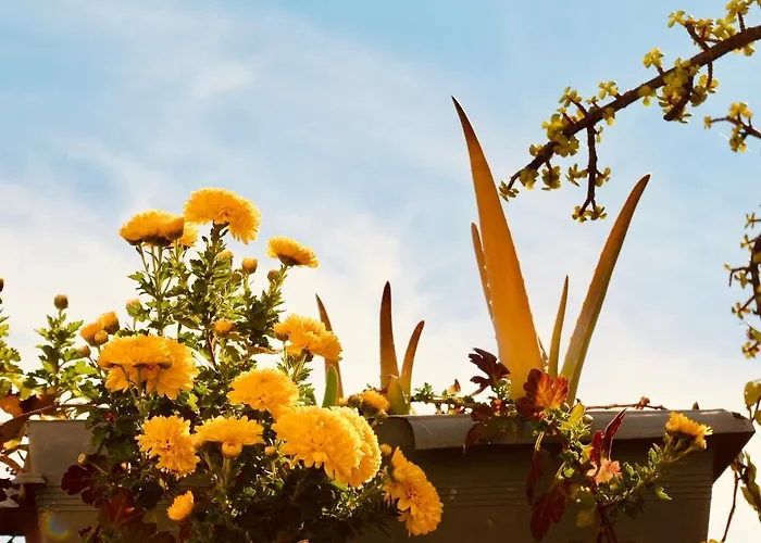 Backpacker Al-katre Отель типа 