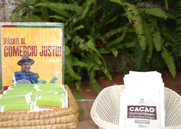 Panzió Backpacker Al-katre