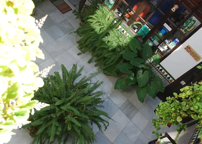 Backpacker Al-katre Отель типа 