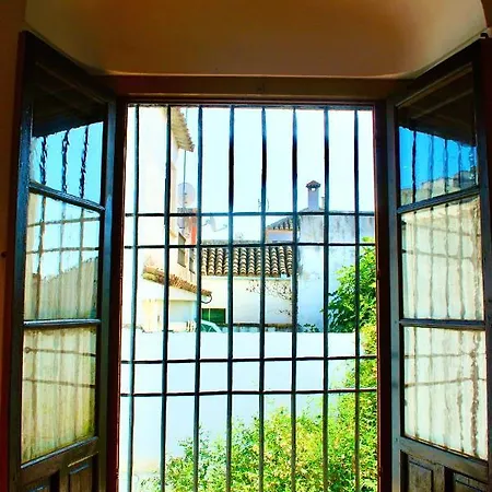 Backpacker Al-katre Готель типу 