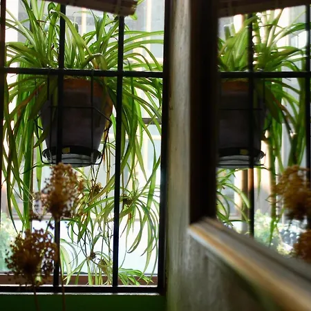 Backpacker Al-katre * Кордова