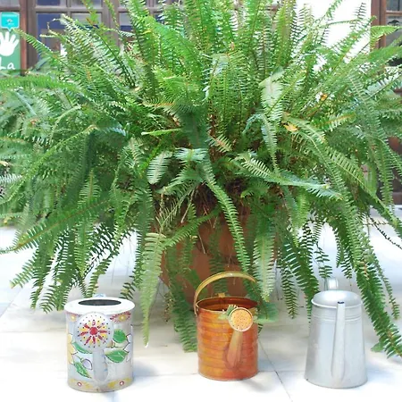 Готель типу 