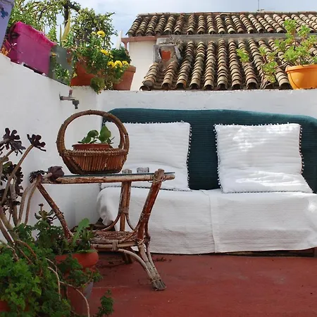 Backpacker Al-katre Готель типу 