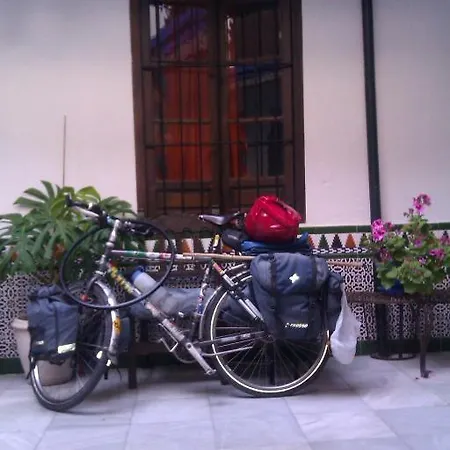 Backpacker Al-katre Готель типу 