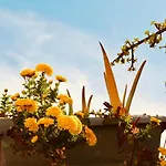 Backpacker Al-katre Bed and Breakfast