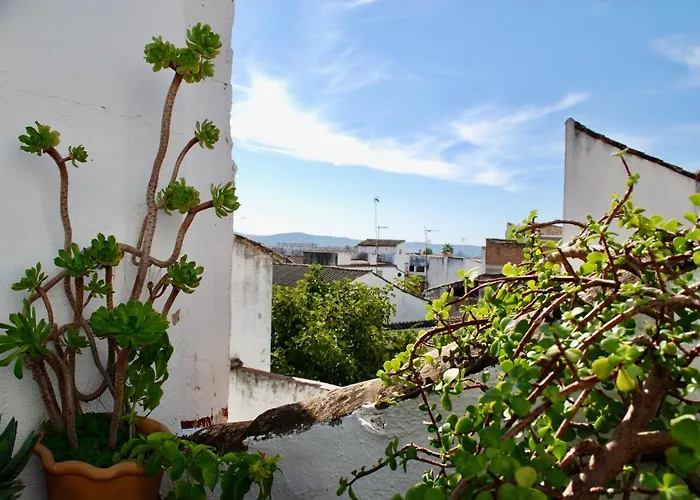 バックパッカー アルカトレ コルドバ